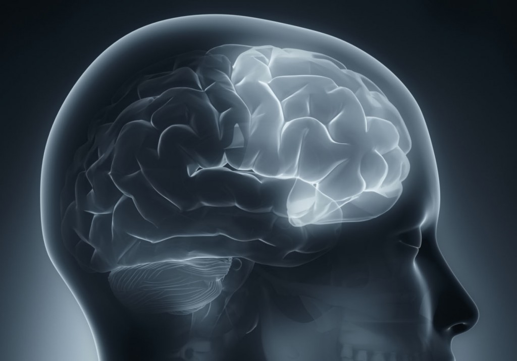 Brain Injury to the frontal lobe